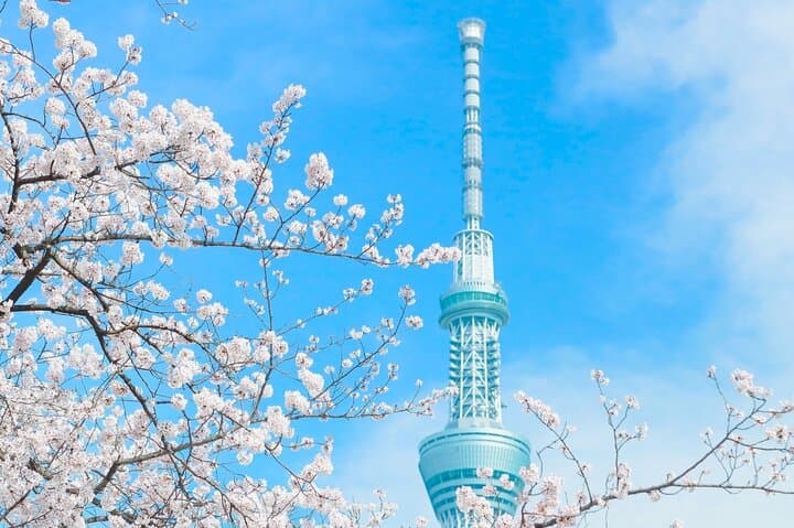 Tokyo Private Full-Day Tour by Car or Van