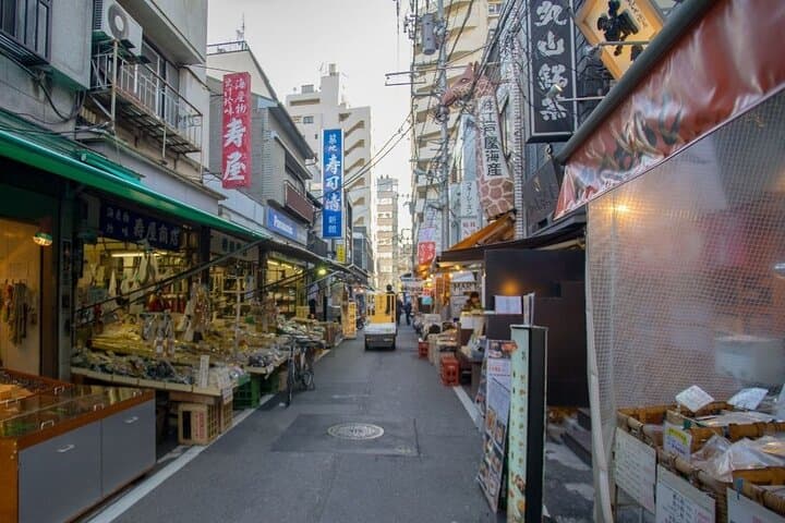 Tokyo Private Full-Day Tour by Car or Van