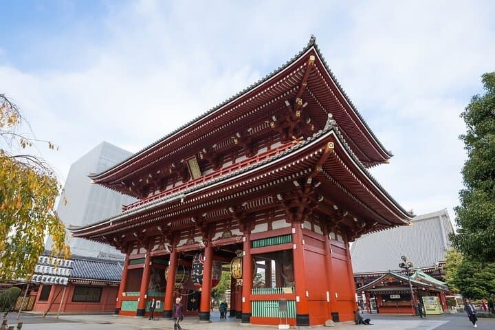Tokyo Private Full-Day Tour by Car or Van