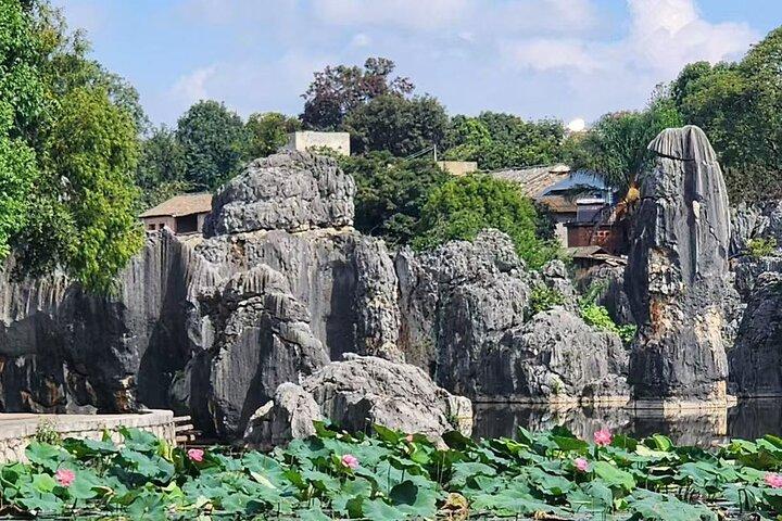 Kunming, Yunnan One Day Tour to Stone Forest Scenic Area
