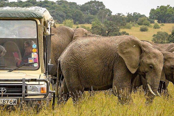 3 Days Safari to Samburu National Reserve from Nairobi