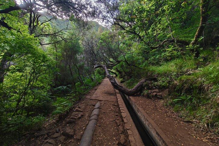 Rabaçal Scenic Hike 25 Fontes and Risco Self Guided Experience