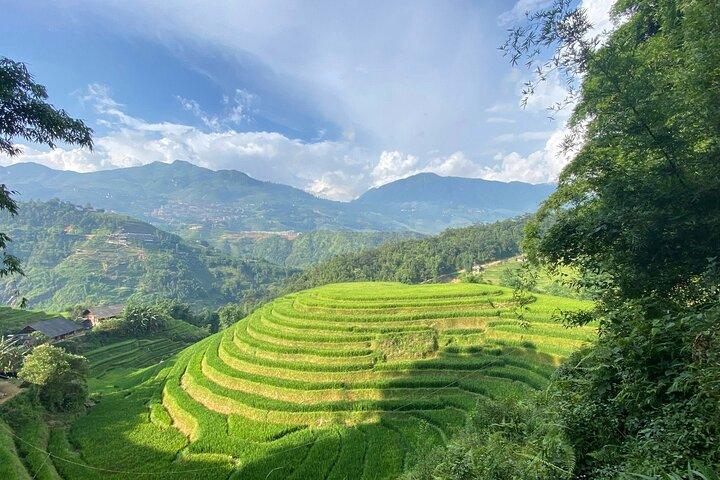 Private Trekking Tour in Sapa: Y Linh Ho, Lao Chai & Ta Van