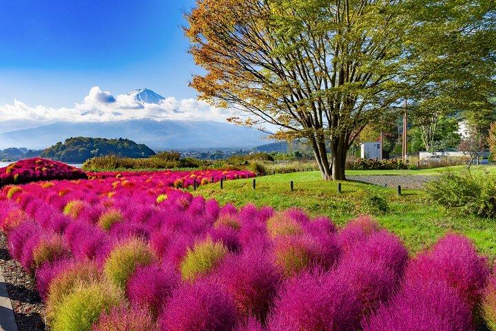 Small Group Tour Mount Fuji and Lake Kawaguchi from Tokyo