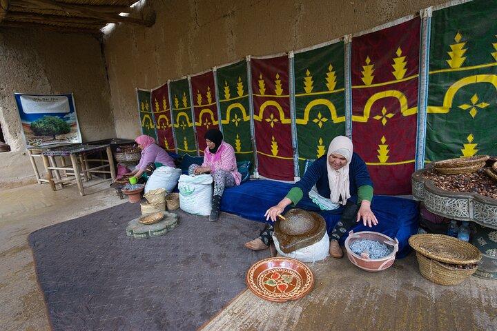Marrakech Ourika, Atlas Mountain, and Waterfalls Tour