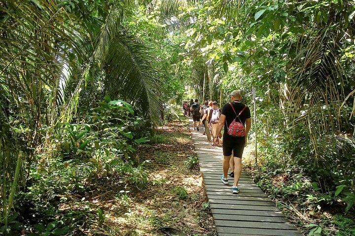 4 Day Tambopata Amazon Wildlife & Canopy Experience