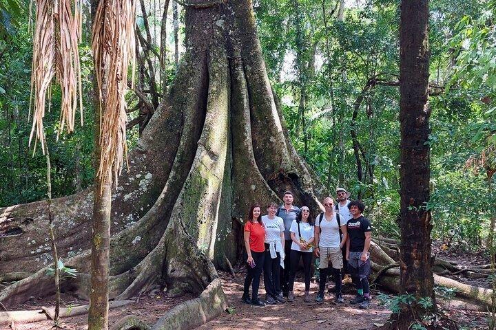 4 Day Tambopata Amazon Wildlife & Canopy Experience