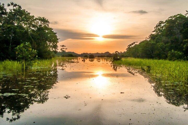Iquitos Amazon River Adventure Full Day