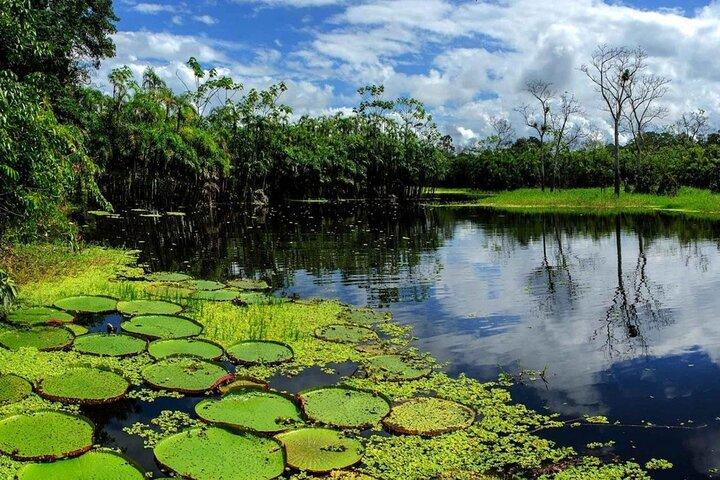 Iquitos Amazon River Adventure Full Day