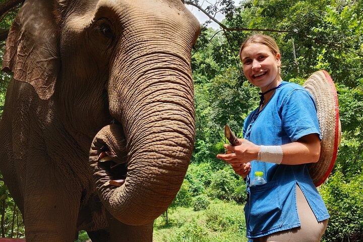 Ethical Elephant Visit and White Water Rafting in Chiang Mai