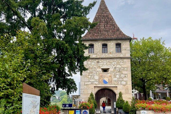 Private Round Tour Rhine Falls and stein am Rhein from Zurich