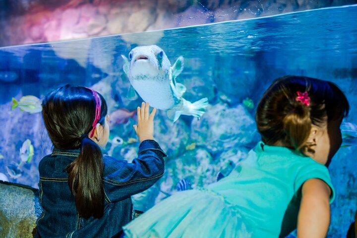 SEA LIFE Aquarium Arizona Admission Ticket