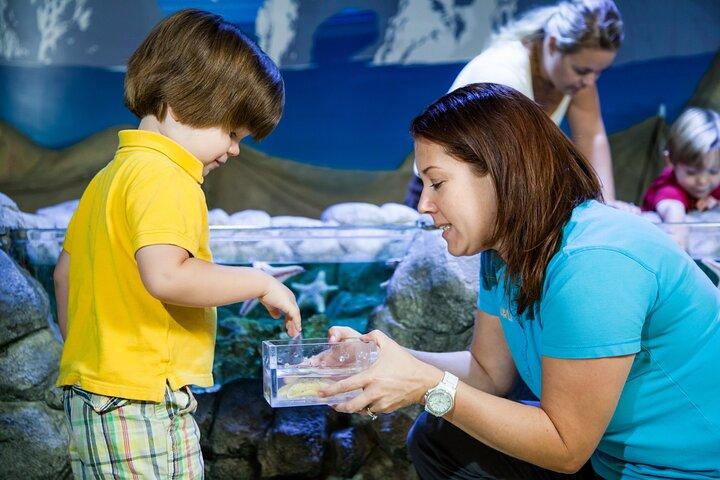 SEA LIFE Michigan Aquarium Admission Ticket