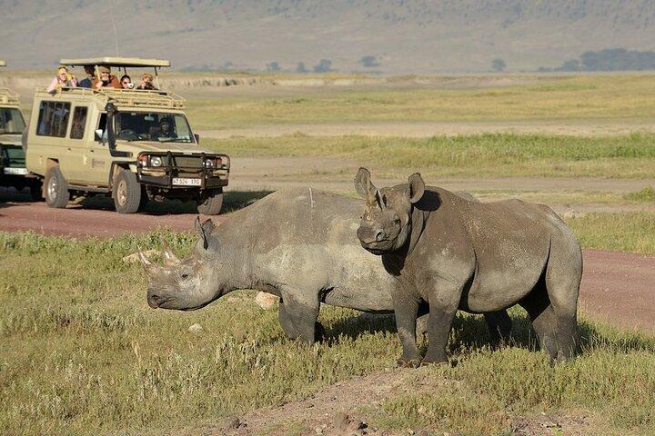 9 Days Kilimanjaro, Safari & Zanzibar Experience