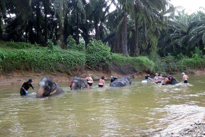 Krabi Elephant Sanctuary and Emerald Pool Adventure