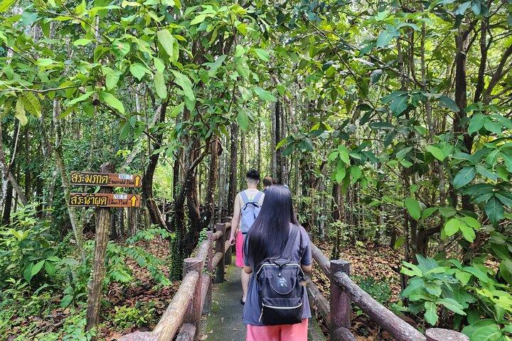 Krabi Elephant Sanctuary and Emerald Pool Adventure