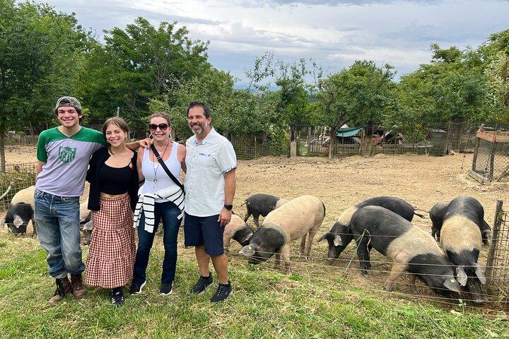 Private ATV Tour Val d’Orcia, Montepulciano, Farm Visit and Lunch