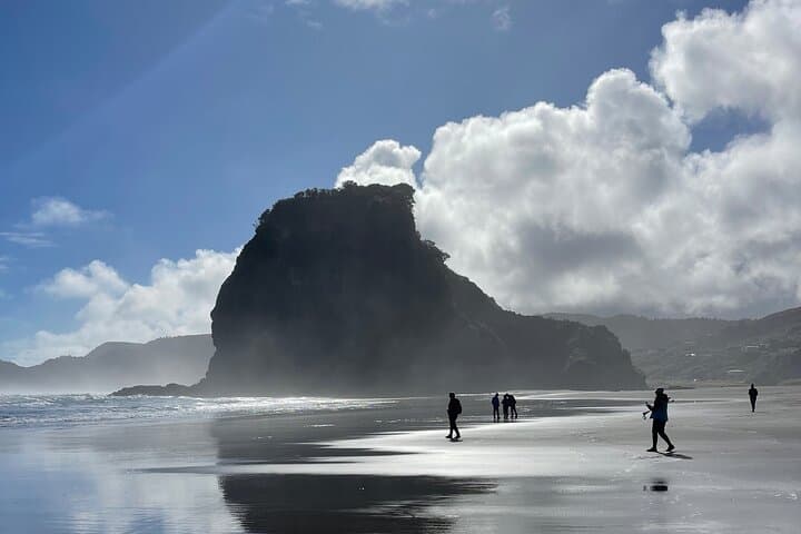Piha Beach Tour