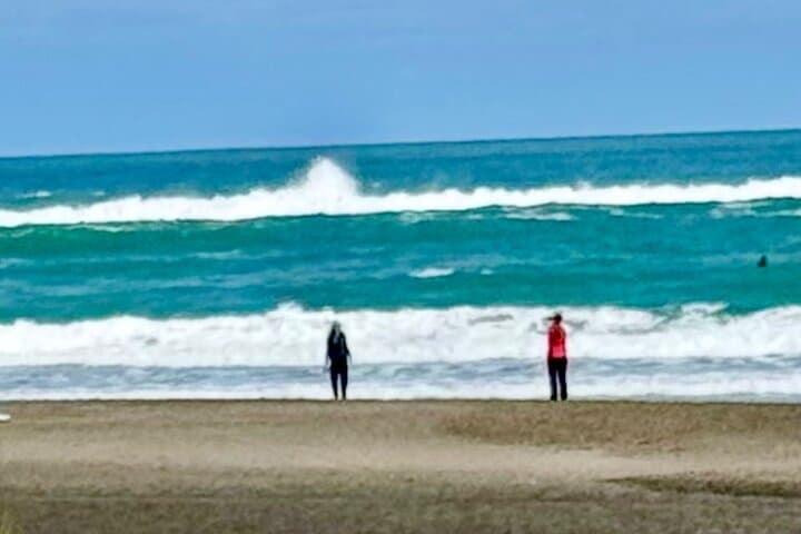 Piha Beach Tour