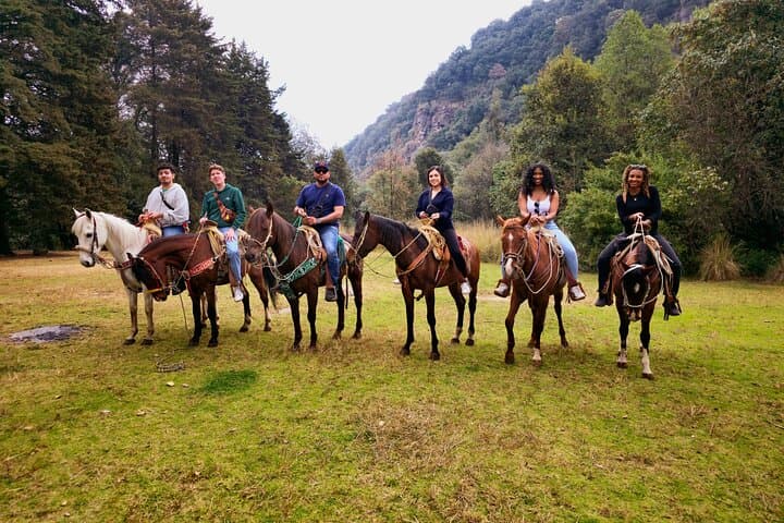 Horseback Riding in the Forest and Breakfast in Cabin