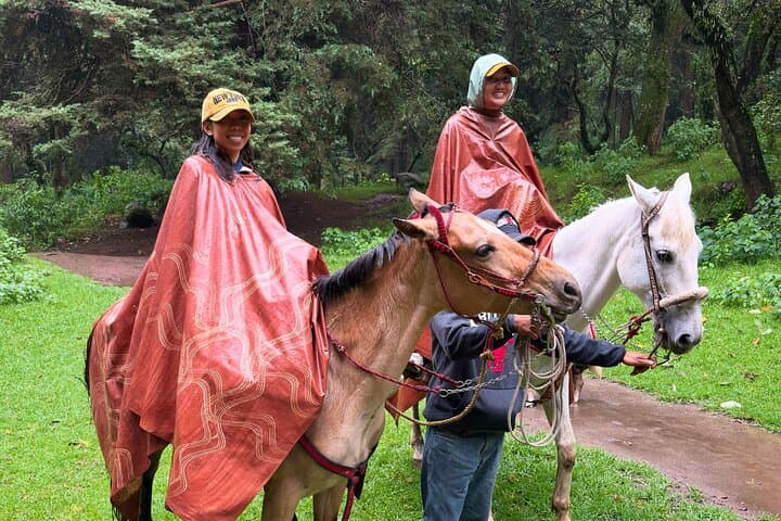 Horseback Riding in the Forest and Breakfast in Cabin