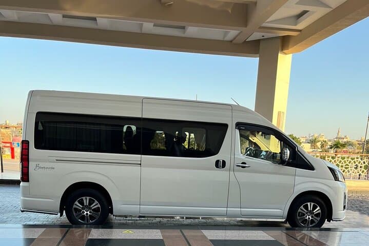 Private Transfer: From/To Cairo International Airport Cairo Giza