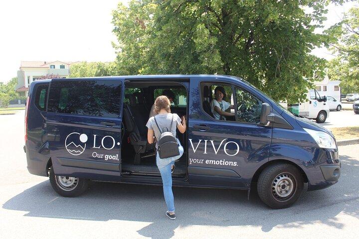 From Venice: Olive Oil & Wine Tour in the Venetian Hills