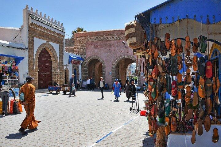 Essaouira Day Trip from Agadir with goats in the trees of argan