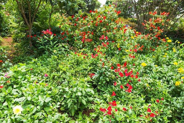Kiambethu Tea Farm Tour and Lunch From Nairobi