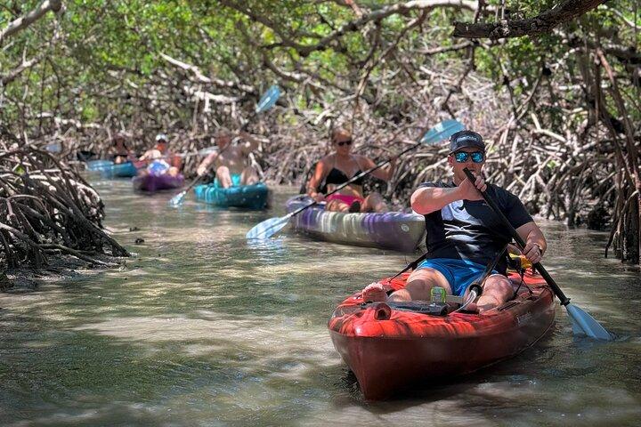 Mangrove Tunnels Kayak Tour To Shell Key - St. Pete