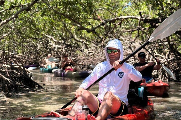 Mangrove Tunnels Kayak Tour To Shell Key - St. Pete
