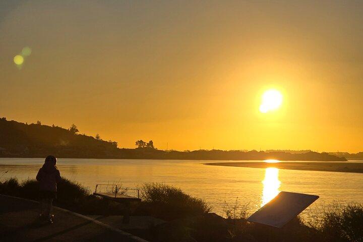 Christchurch Private Tour (Premium) Full day