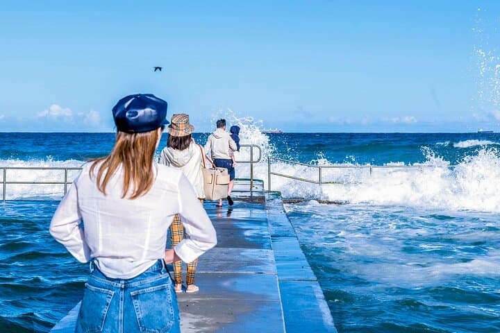 Escape Sydney: Sea Cliff Bridge, Wildlife, Kiama Private Tour