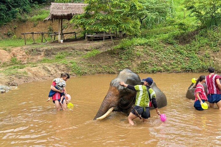 Elephant Care & Bathing Chiang Rai