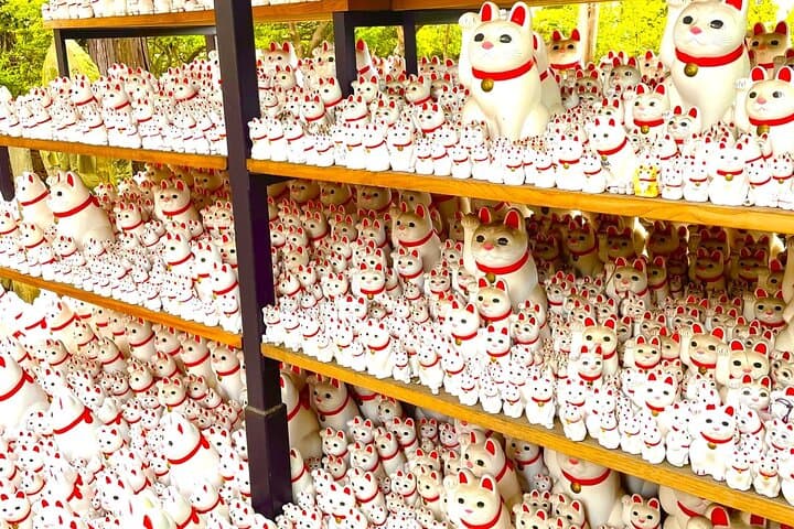 Tokyo: Gotokuji Lucky Cat Temple, Shinjuku Cat Cafe, 3D Giant Cat