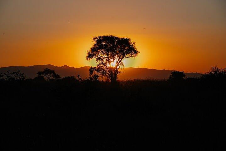 Nairobi National Park Sunset and Night Game Drive Tour