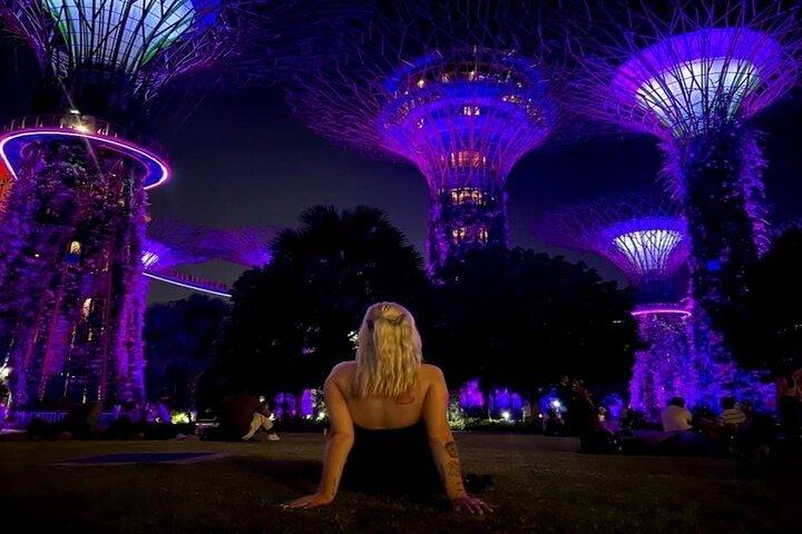 Private Tour: Singapore River Cruise & 2 Top-visit Light shows