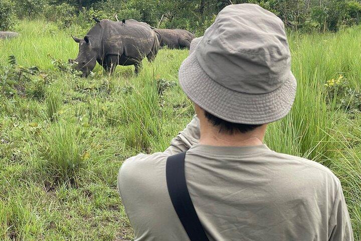 1 Day Ziwa Rhino Sanctuary Safari and Wildlife Tour, Uganda