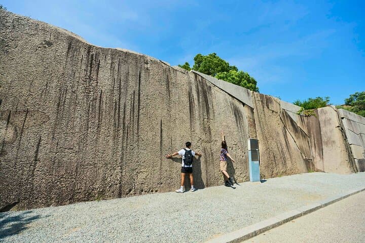 Osaka Castle Walking Tour and Castle Tower Admission