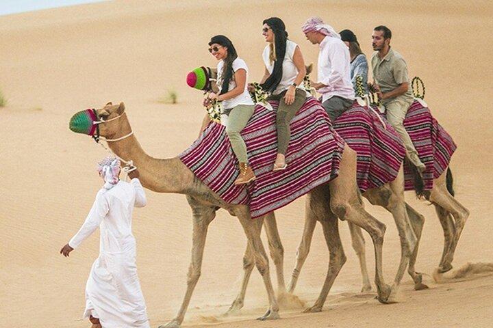 Abu Dhabi Safari VIP Desert Camp with Live Shows and BBQ Dinner