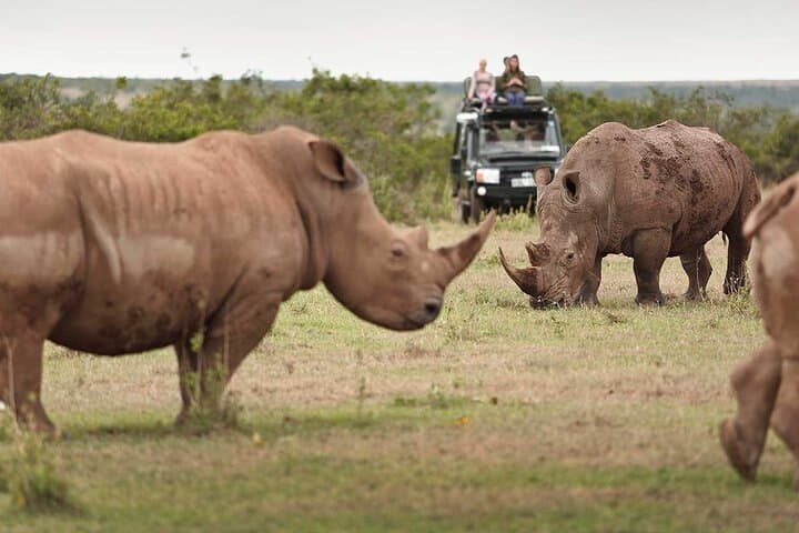 3 Day Masai Mara Luxury Safari on 4x4 Land Cruiser
