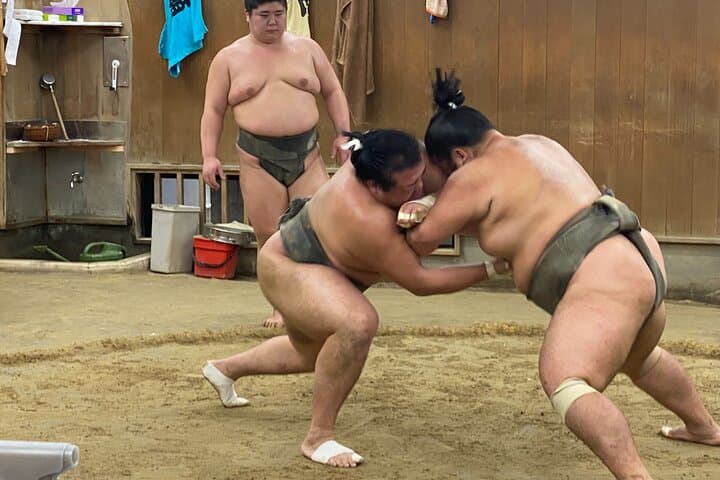 Tokyo Sumo Morning Practice with Guide – Ringside Live Training