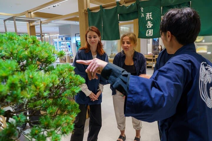 Tokyo: Bonsai Making Experience with Bonsai Master