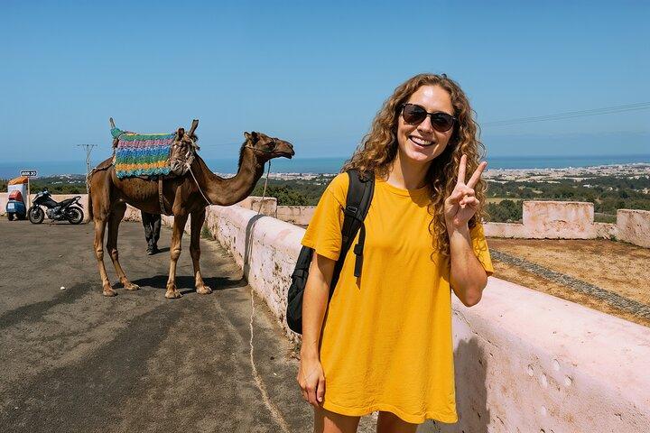 Private Day Trip to Essaouira from Marrakech