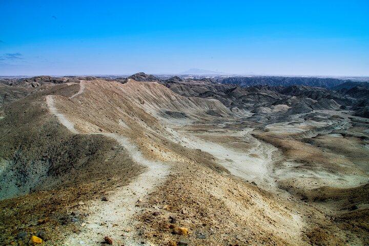 Shore Excursion- flamingos, dune 7, welwitschia, Swakopmund.