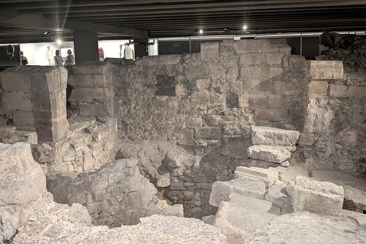 Amazing guided Notre dame and Ile de la cité tour with crypt