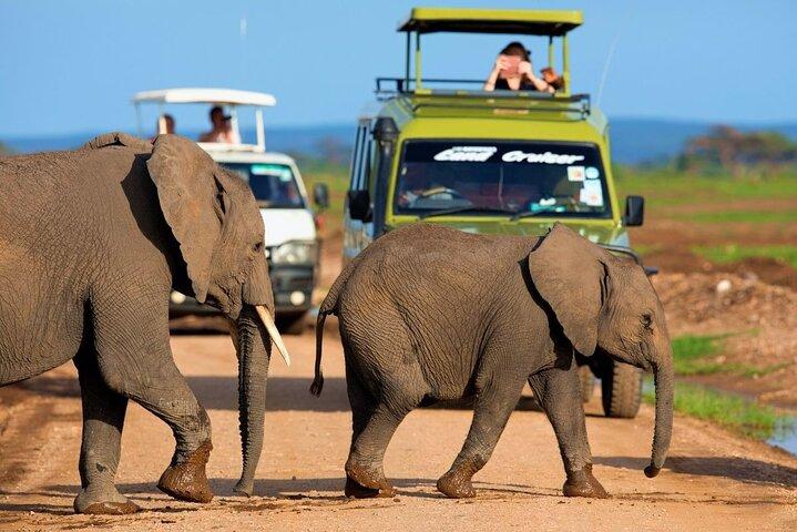 Nairobi Safari 6 Days Shared Group