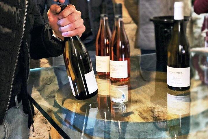 Winery Tour and Tasting 4 wines at Cantina Le Macchie near Rome
