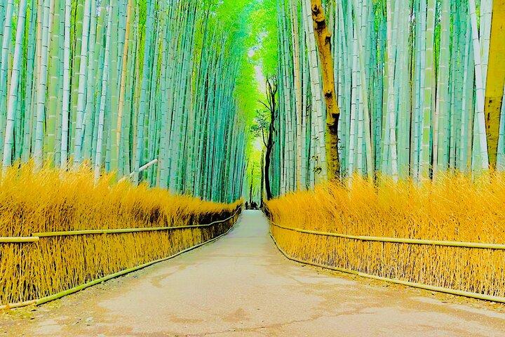 Kyoto Highlights with English Speaking Driver and Guide