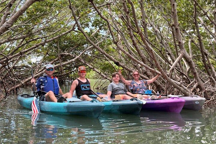 Mangrove Tunnels Kayak Tour To Shell Key - St. Pete
